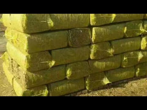 Silage bale maker square type