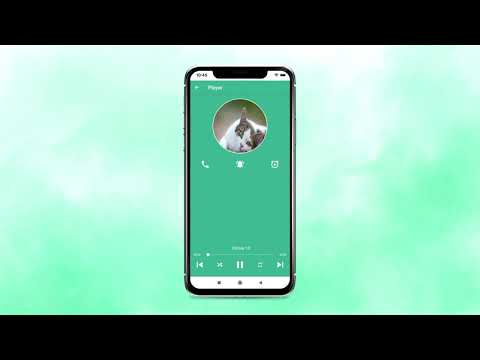 Kitten meow cat sounds Video