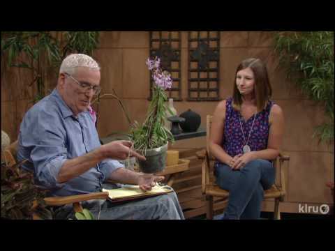 Orchids Made Easy |Jessica Robertson |Central Texas Gardener