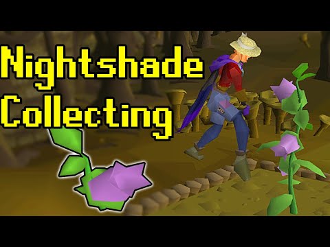 Cave Nightshade Osrs