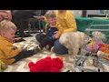 There Playing Dog Tickle Me Elmo Riley And Chloe