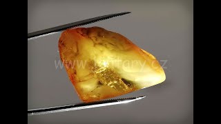 Okno do baltského jantaru PO-1