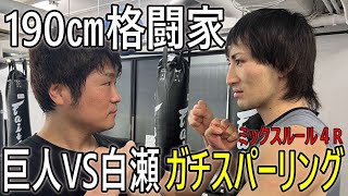 １９０㎝のキックボクサーと過去最高のガチスパー！キックとフルコン空手のミックスルール４R【格闘技】
