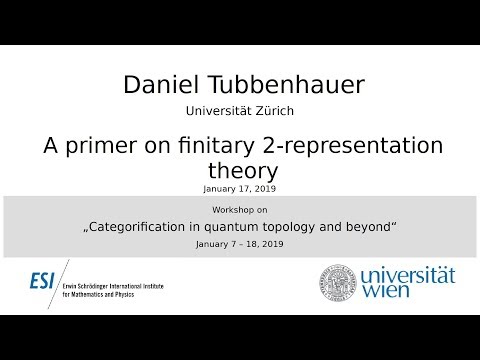 Daniel Tubbenhauer - A primer on finitary 2-representation theory
