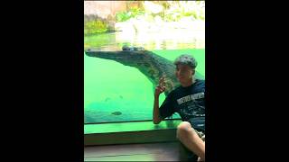 Download lagu 🤣🐊😱 KAKA & Mas BOBBY Y2k Crew GWSM KAGET SETENGAH M4TI Lihat Kepala Buaya di Gembira Loka! 🤣 mp3