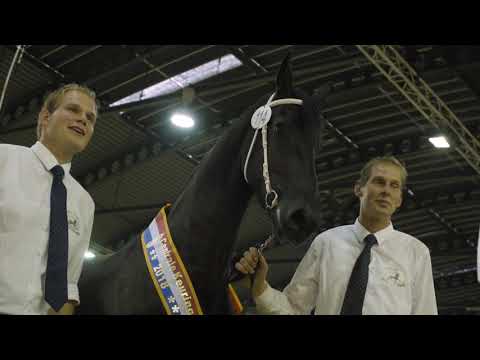 3 jarigen, 4-6 jarigen &amp; 7 jaar en ouder Kampioenschap 2018