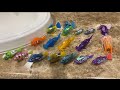 Hexbug Aquabot & Zuru Robo Fish Collection (Updated 2021)