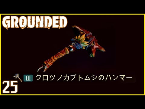 なぜツゲの蛾捕りを作るのですか？万全の予防！  庭園