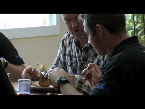 Day in the Life of Buzzard