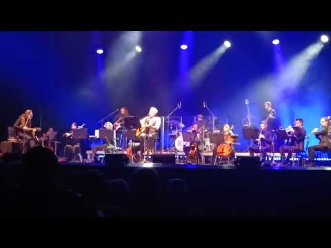 E semm partii - Davide van de Sfroos & Folkestra @ Mantova - 24 gennaio 2026