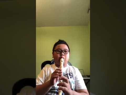 My Heart Will Go On by Celine Dion (Recorder)