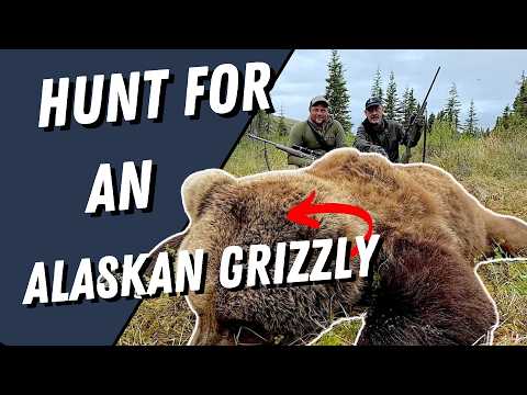 Face to Face with an Alaska Grizzly (Hunt Film)