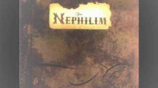 FiELDS of the NEPHiLiM ~ The Watchman