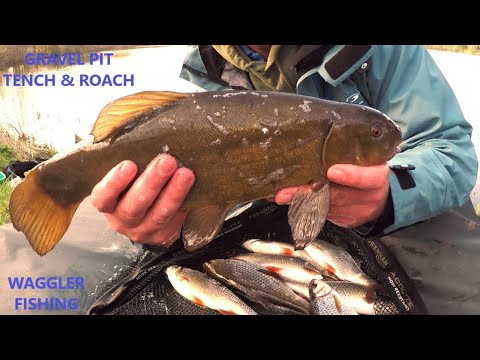 TENCH & ROACH FISHING. Waggler Fishing On A Clear Water Gravel Pit. Early Spring On A Natural Lake.