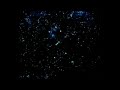 Columbia Tristar Home Video Dolby Surround Orion Pictures 1991 1992