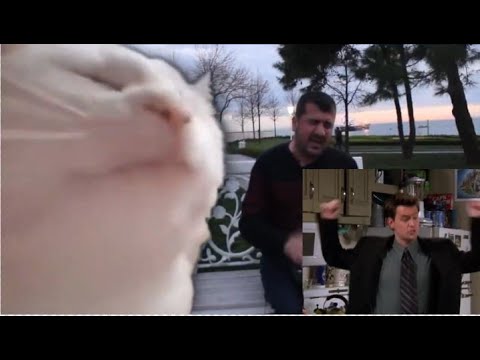 Chandler(and other FRIENDS) vibin to Ievan Polkka by Bilal Goregen | 2020 meme