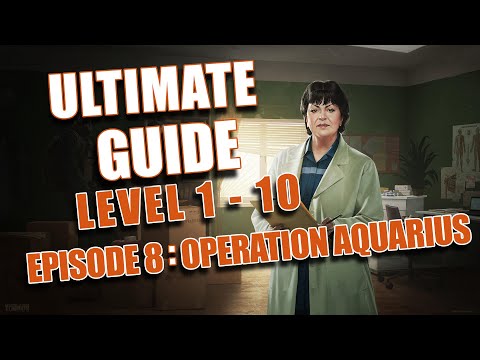 Ultimate Beginner's Guide to Level 10 - Episode 8: Customs