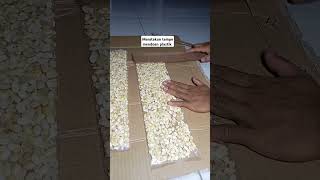 Download lagu Membuat mendoan plastik #bakultempe #tukangtempe mp3