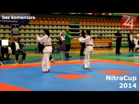 NitraCUP 2014