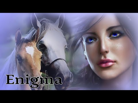 Cynosure | Best Of Enigma Chill Music Mix ( New Age Music 2022 )