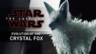 Evolution of the Crystal Fox