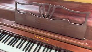 Walkthrough The Piano City in Rosehill Garden New Age Music Festival Table at Parramatta City