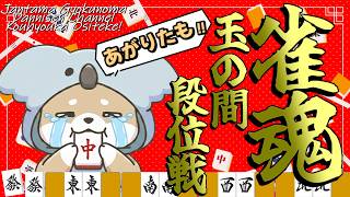 8/11【 #じゃんたま 】ʕ  ·ᴥ·ʔ 　最近の手牌とツモがおかしい件について　ʕ·ᴥ·  ʔ【 #段位戦  】
