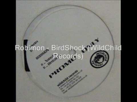 Robimon - BirdShock (WildChild Records).wmv