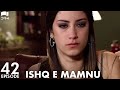 Ishq e Mamnu - Episode 42 | Beren Saat, Hazal Kaya, Kıvanç | Turkish Drama | Urdu Dubbing | RB1Y