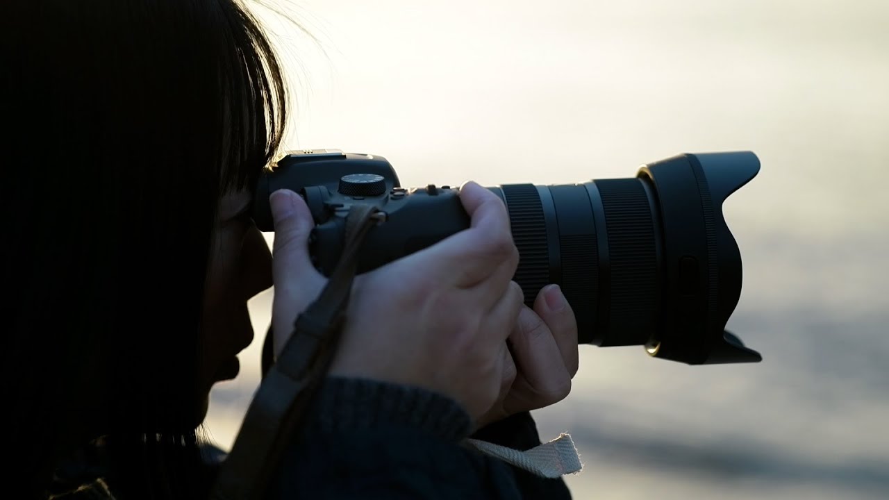 Sigma 17-40mm f/1.8 DC Art for Sony E