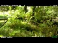 Two Days In Time Lapse 8 11 2010 And 8 12 2010
