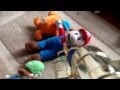 Mario And Luigi Fight Bowser And Evil Peach