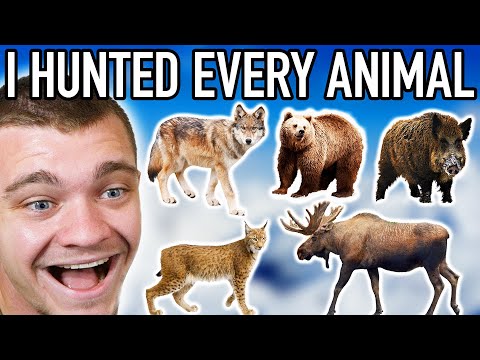 I Hunted Every Animal in Russia! (Medved-Taiga)