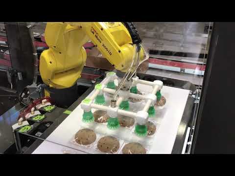 ITL 15 Robotic Top Load Case Packer   Cookies - BW Integrated Systems