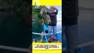 Download lagu Aksi Luar Biasa Anak Perempuan Ini Mancing Banyak Ikan Di Laut #shortvideo #shortsvideo #shorts mp3