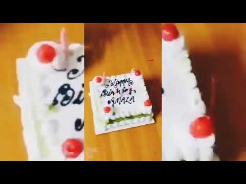 happy birthday Amala 🎂🎂💖💖