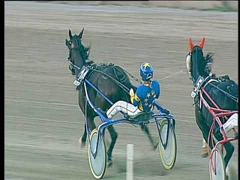 Trotto 29/09/2017 - 6ª corsa