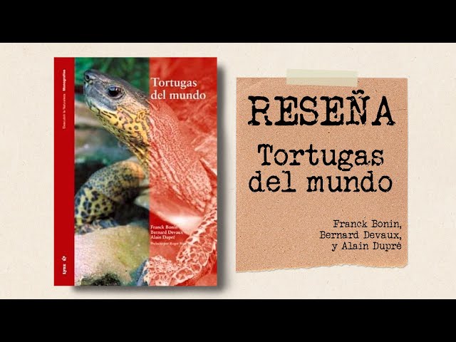 Vídeo relacionado con Las Tortugas del Mundo Libro Para Niños: Gran manera para que los niños conozcan a las tortugas del mundo