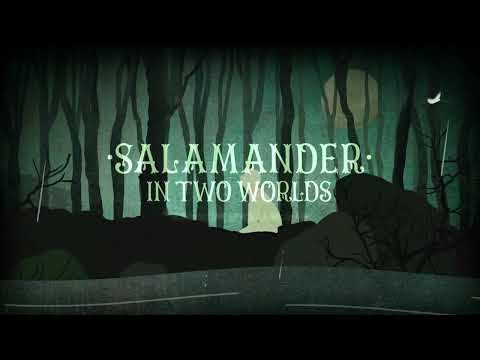 Sleepytime Gorilla Museum - Salamander in Two Worlds (Official Music Video) - Strobe Warning!