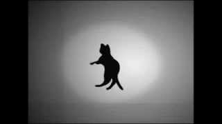 Смотреть онлайн Оптическая иллюзия: в какую сторону вращается кот?