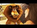 DreamWorks Madagascar | Madagascar Fight Contest | Madagascar : Escape 2 Africa | Kids Movies mp3