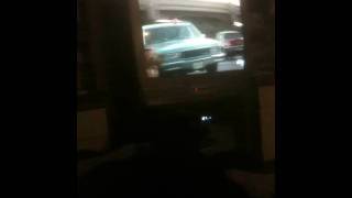 Bandit watches Lethal Weapon 3