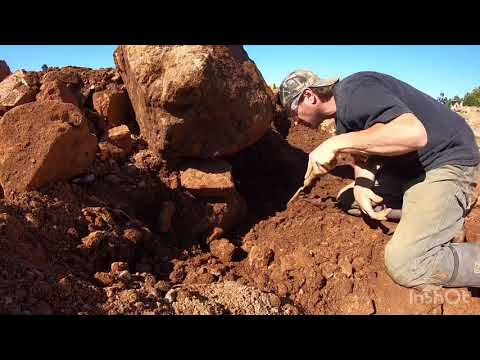 I Found $6,000 worth of Arkansas Quartz Crystals Digging at Ron Coleman Mining  2019