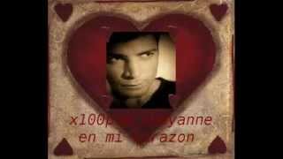 el arte de amar   chayanne