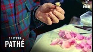 Cloth Flowers Aka Artificial Flowers (1957)