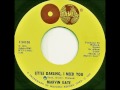 Marvin Gaye .  Little Darlin' i need you.  1966.