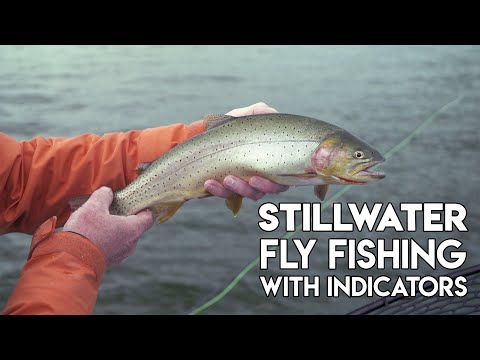 Stillwater Fly Fishing With Indicators