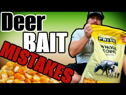 Avoid These Common Whitetail Deer Baiting Mistakes!