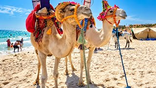 HOTELS BY THE BEACH OF DJERBA : Ideal choice for an unforgettable holiday