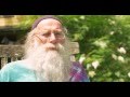 Inner Peace and Nature's Role - Dean Evenson